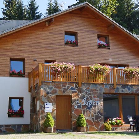 Pension Aspen Harrachov Dış mekan fotoğraf