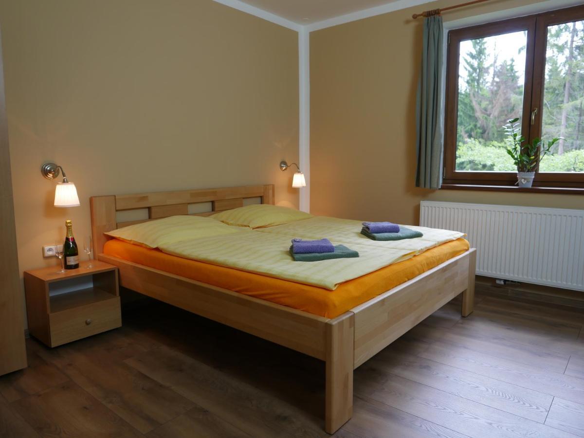 Pension Aspen Harrachov Dış mekan fotoğraf