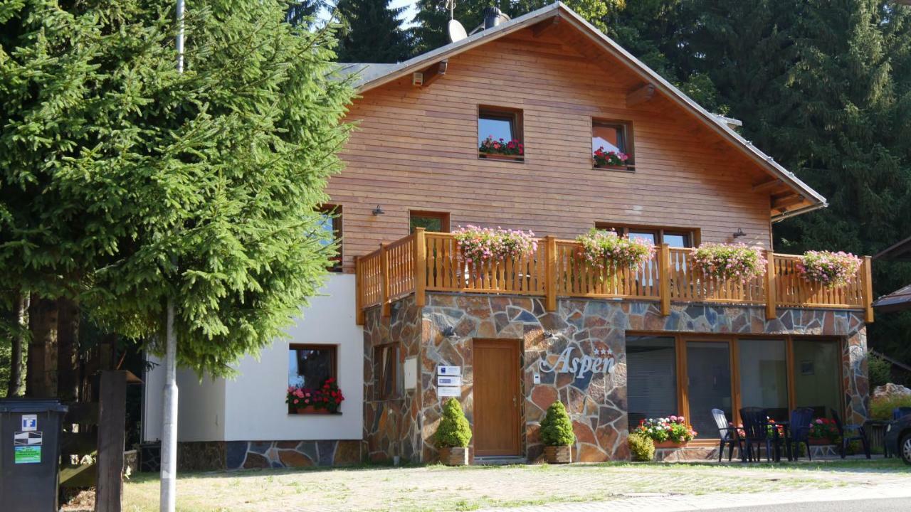Pension Aspen Harrachov Dış mekan fotoğraf