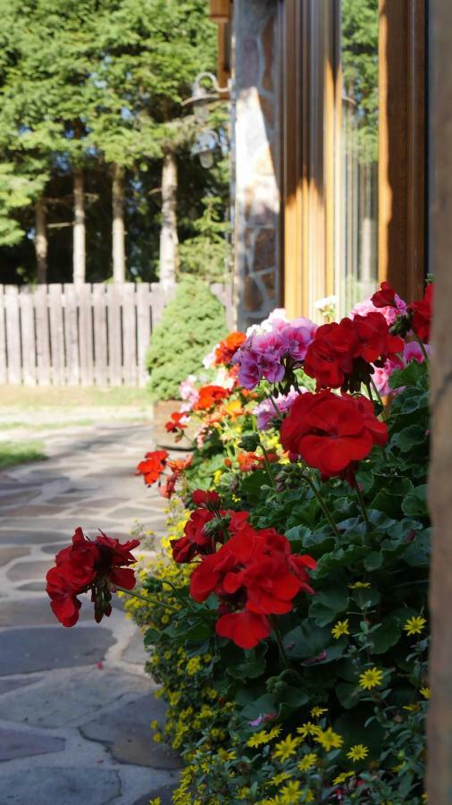 Pension Aspen Harrachov Dış mekan fotoğraf