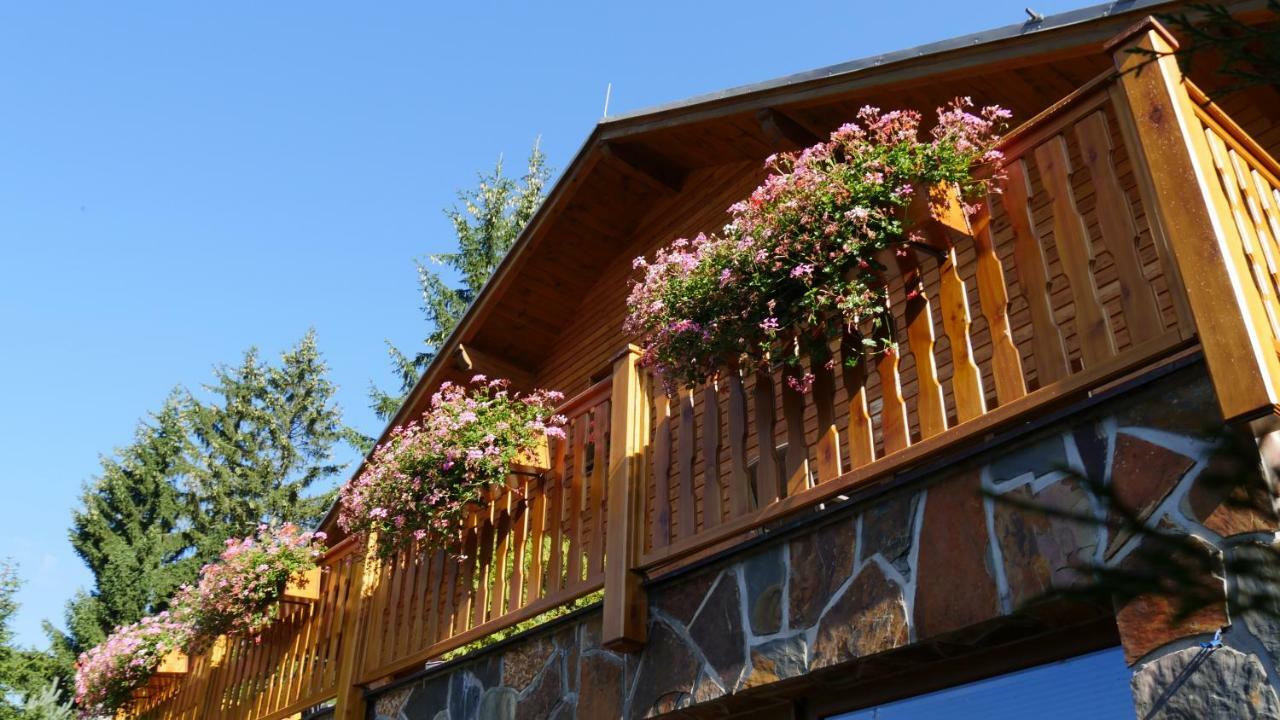 Pension Aspen Harrachov Dış mekan fotoğraf
